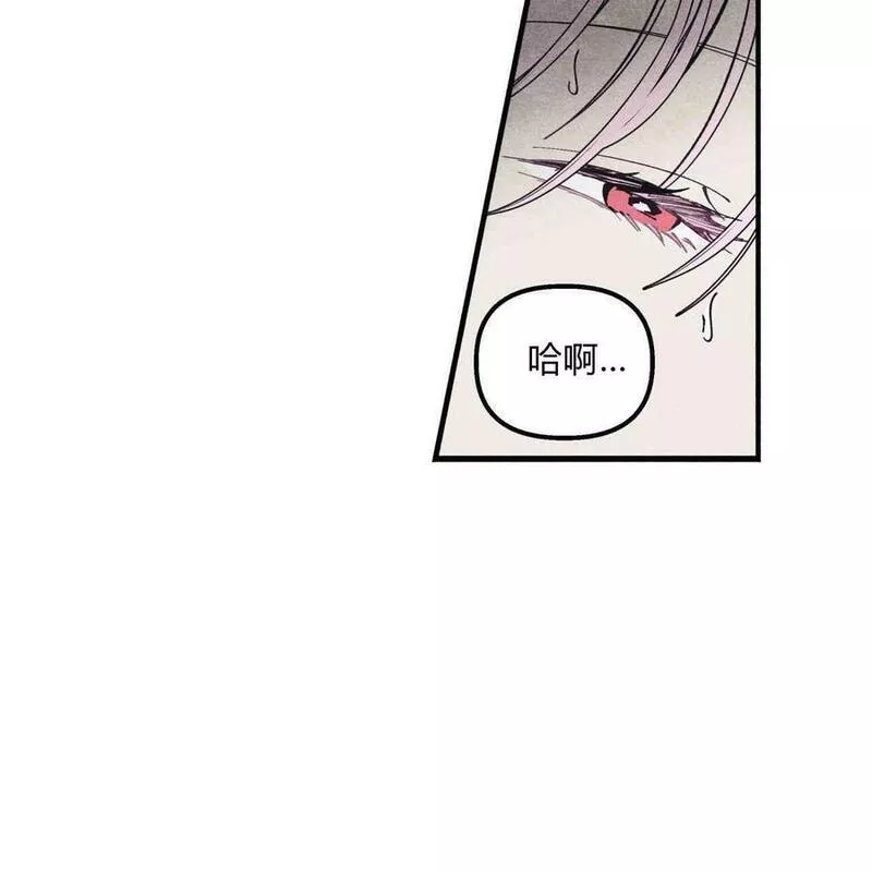 魔女居住的岛屿漫画后记免费观看全集漫画,第37话28图