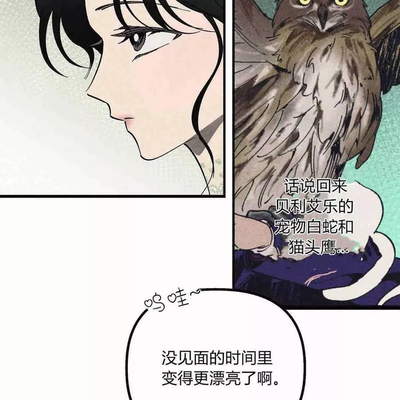 魔女居住的岛屿结局解析漫画,第41话52图