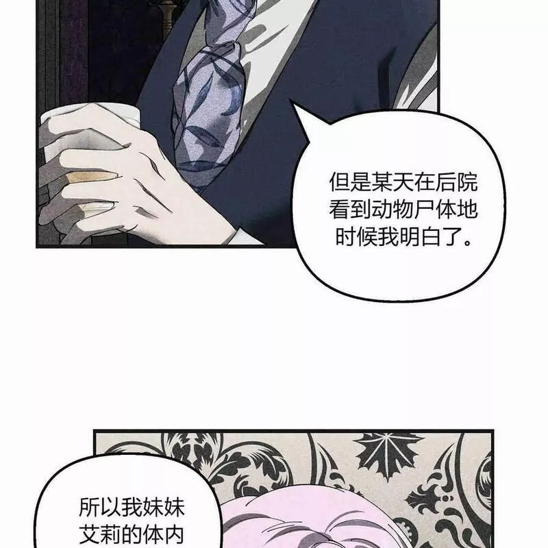 魔女居住的岛屿结局解析漫画,第44话8图