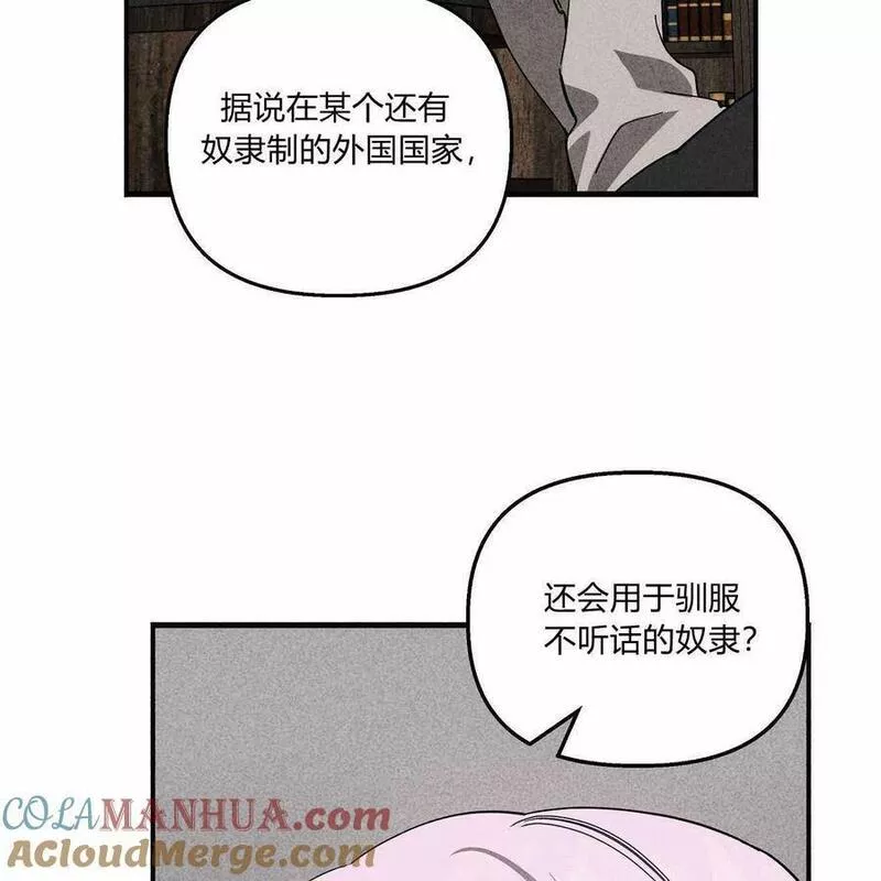 魔女居住的岛屿结局解析漫画,第48话113图