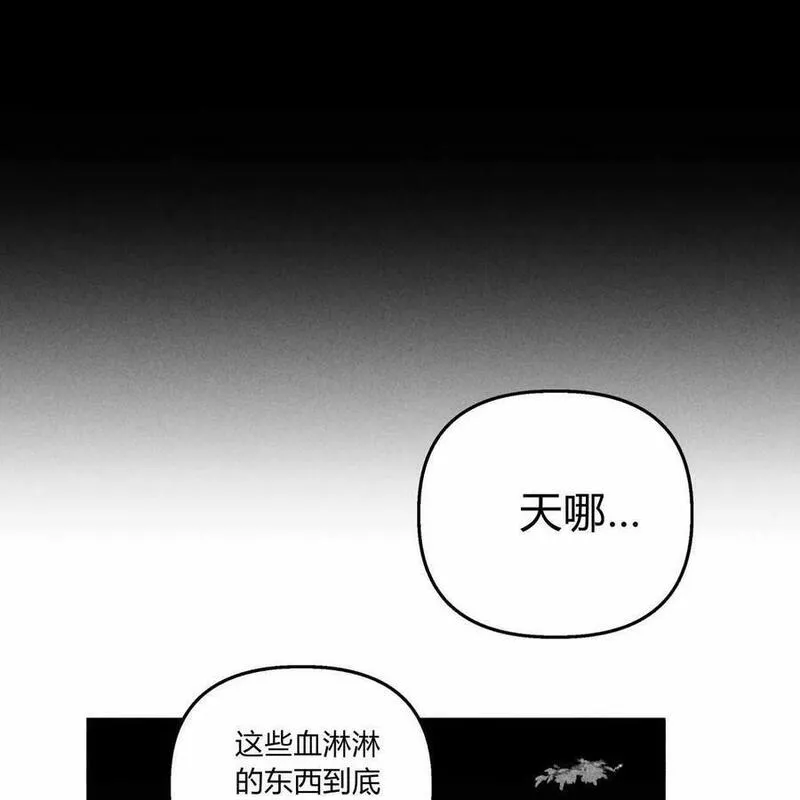 魔女居住的岛屿结局解析漫画,第56话199图