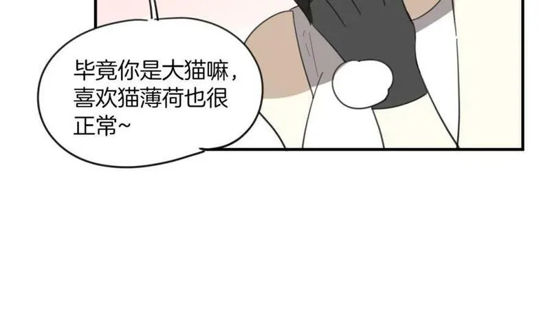 披着狼皮的羊简谱刀郎漫画,第44话 云霄阁65图