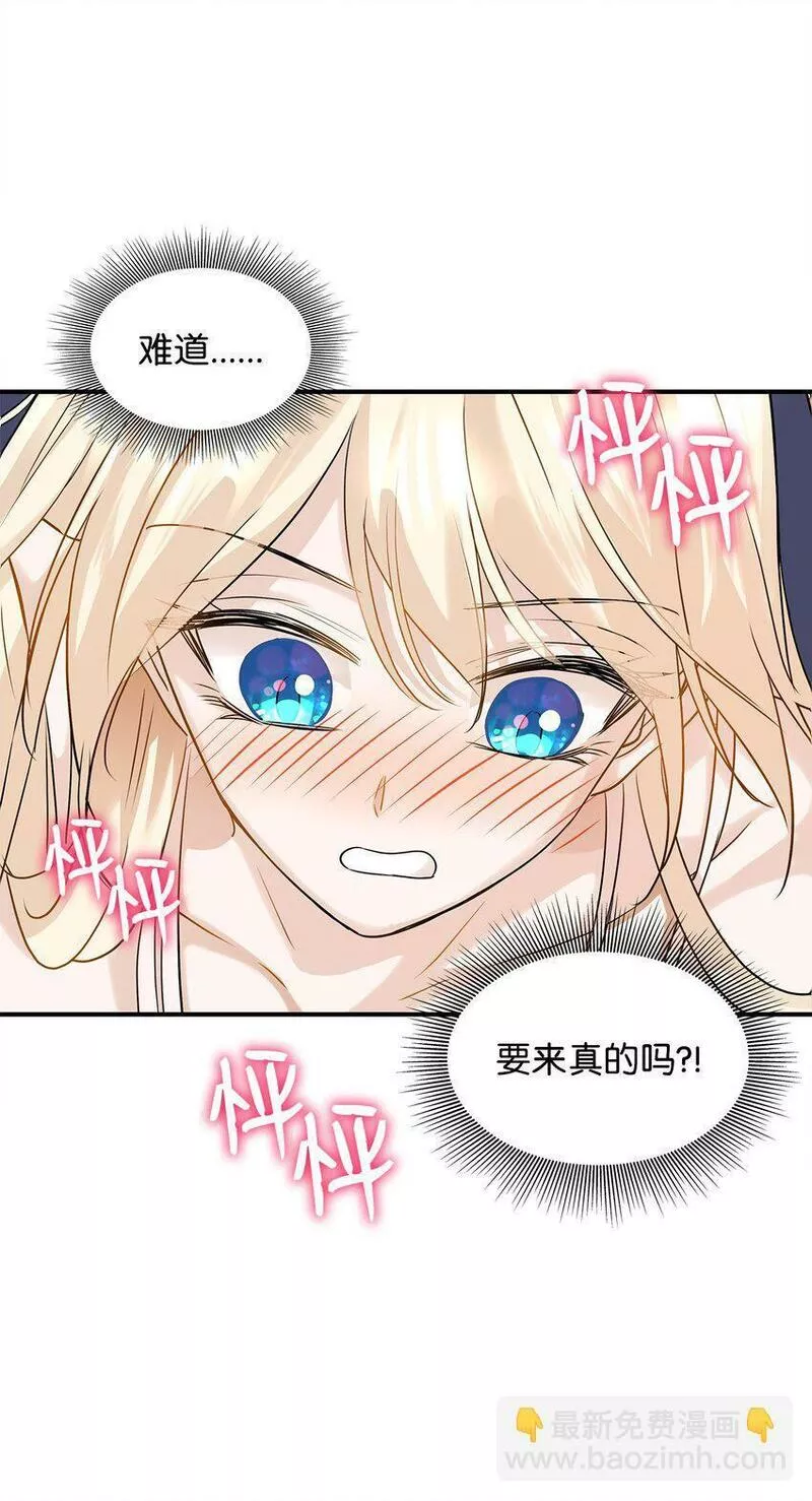 花与剑与法兰西任务漫画,10 新婚之夜54图