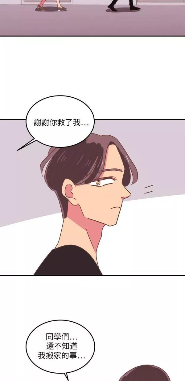 温室里的花朵下一句是什么漫画,第17话49图