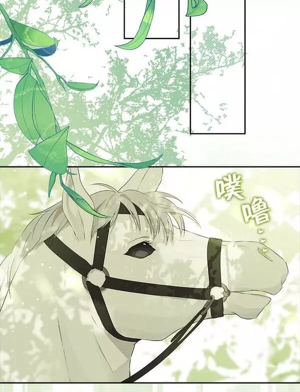 真与假的精灵师少女动漫在线漫画,83.家族出行68图