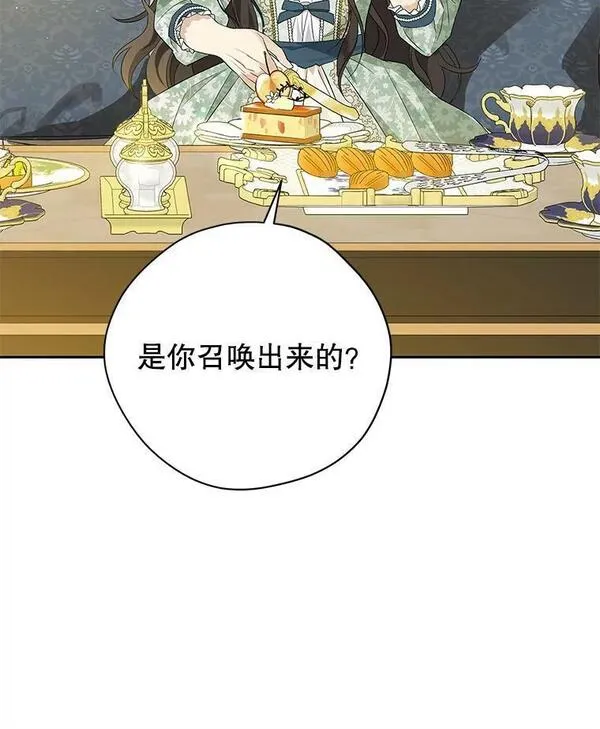 真与假的精灵师少女动漫在线漫画,96.神秘魔法师32图