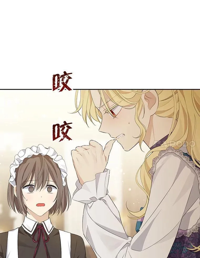 真与假的精灵师少女动漫在线漫画,111.危机重重28图