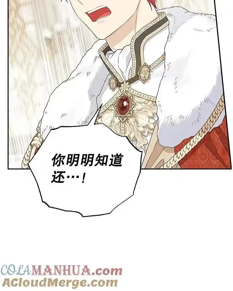 真与假的精灵师少女动漫在线漫画,114.当庭指控89图