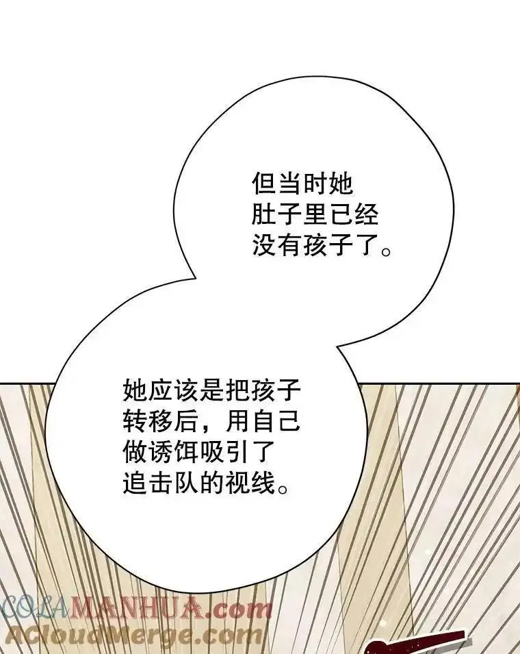 真与假的精灵师少女漫画,116.疑云漩涡29图