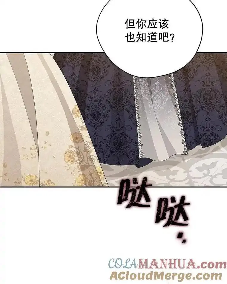 真与假的精灵师少女漫画,116.疑云漩涡77图