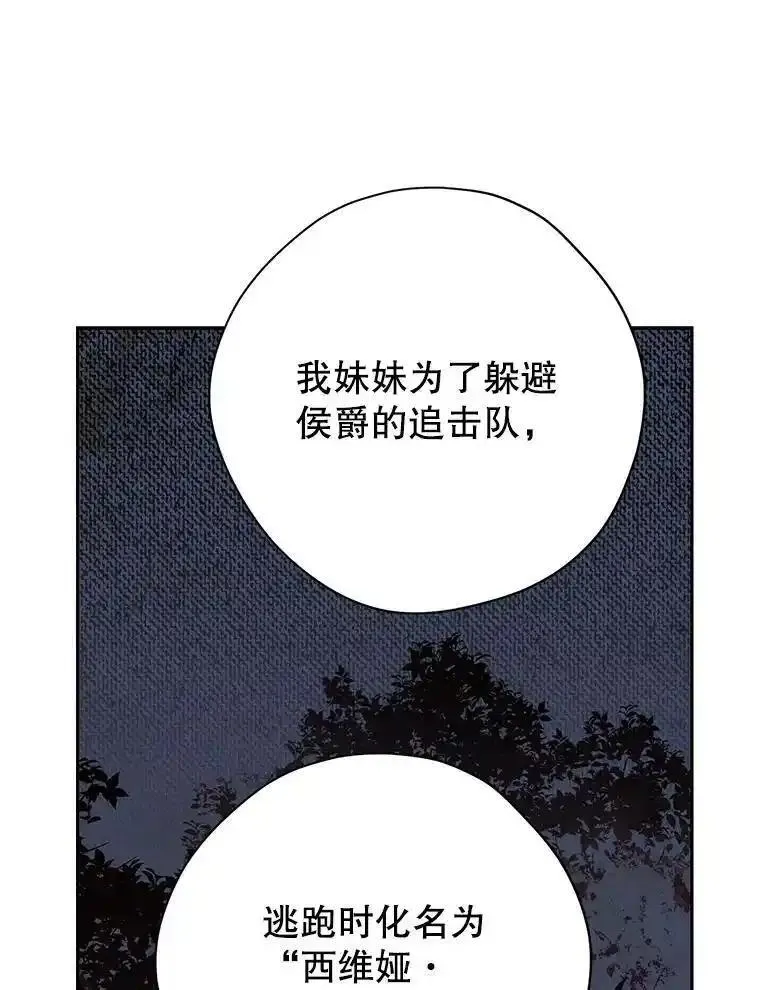 真与假的精灵师少女漫画,116.疑云漩涡34图