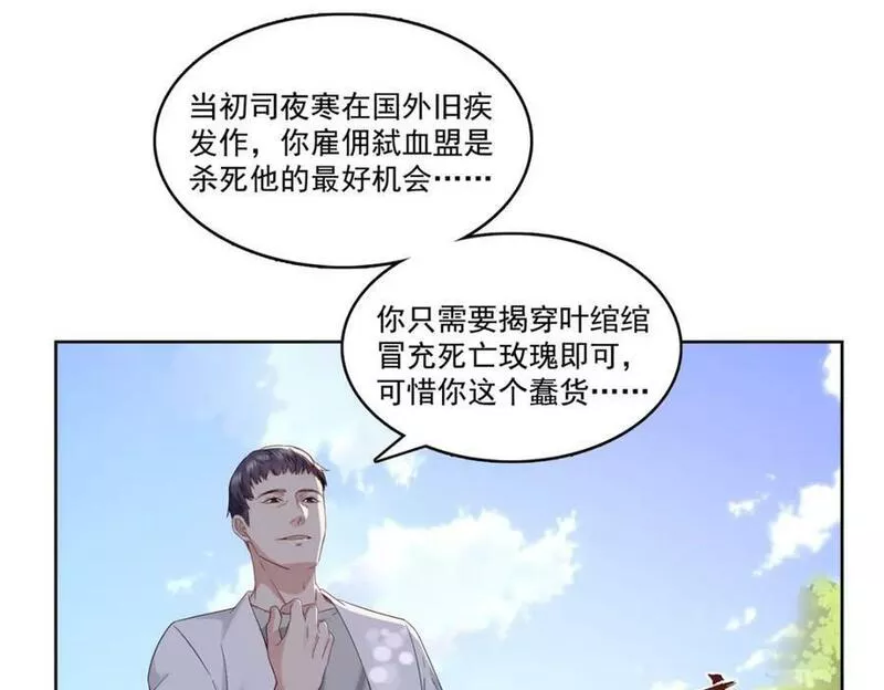 恰似寒光遇骄阳漫画,第399话 司家来历55图