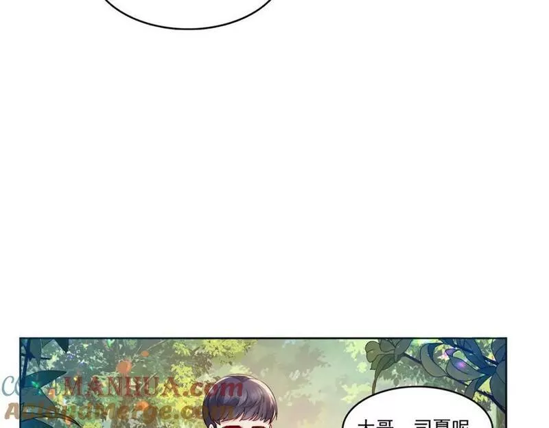 恰似寒光遇骄阳漫画,第399话 司家来历13图