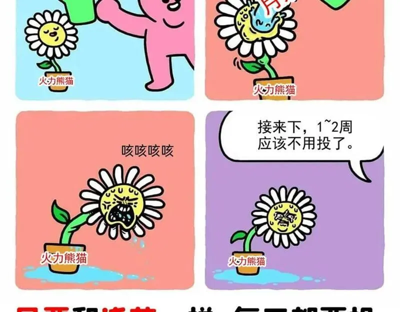 恰似寒光遇骄阳漫画,第424话 不是开会是约会114图