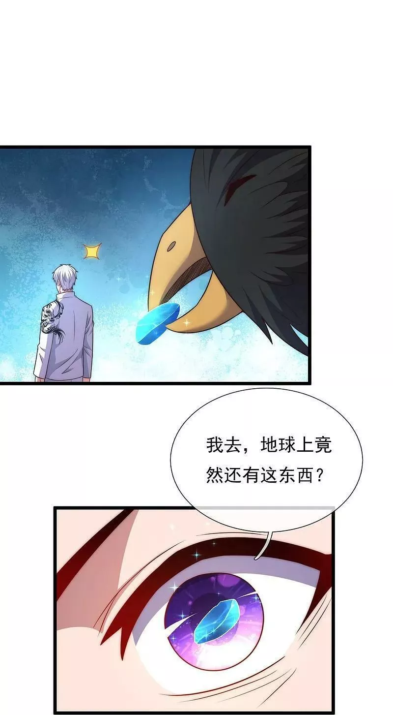 都市之逆天仙尊动漫第二季漫画,第383话 仙石矿12图