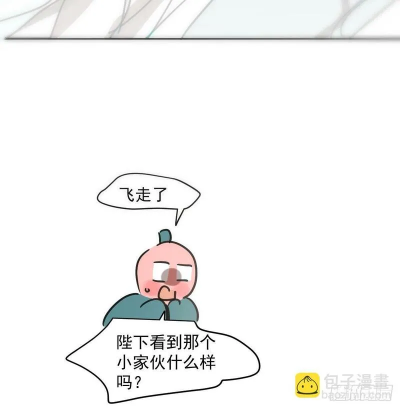 敖敖待捕漫画下拉式免费漫画星球漫画,第243话 一眼明白32图