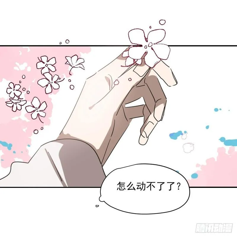 敖敖待捕漫画,第249话 最后一次10图