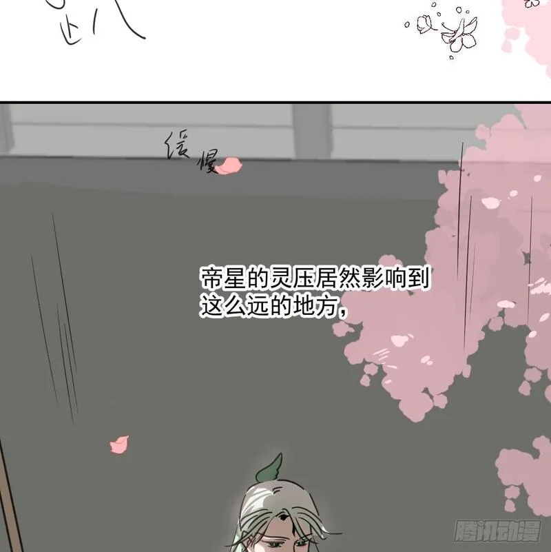 敖敖待捕漫画,第249话 最后一次12图