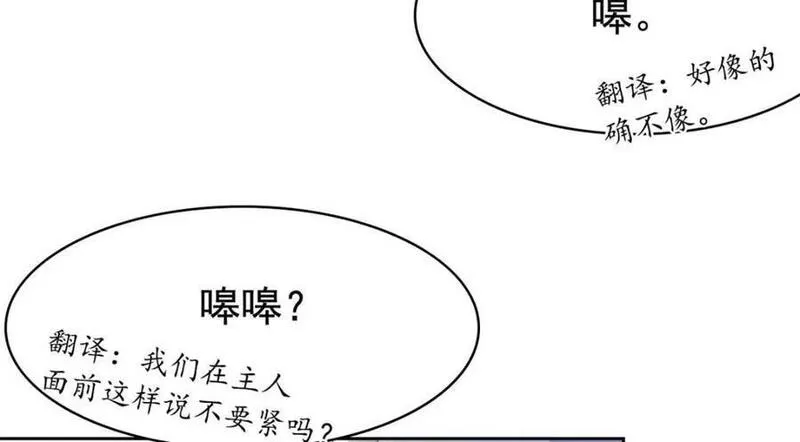 从精神病院走出的强者漫画,206 说话算话，回来娶你82图