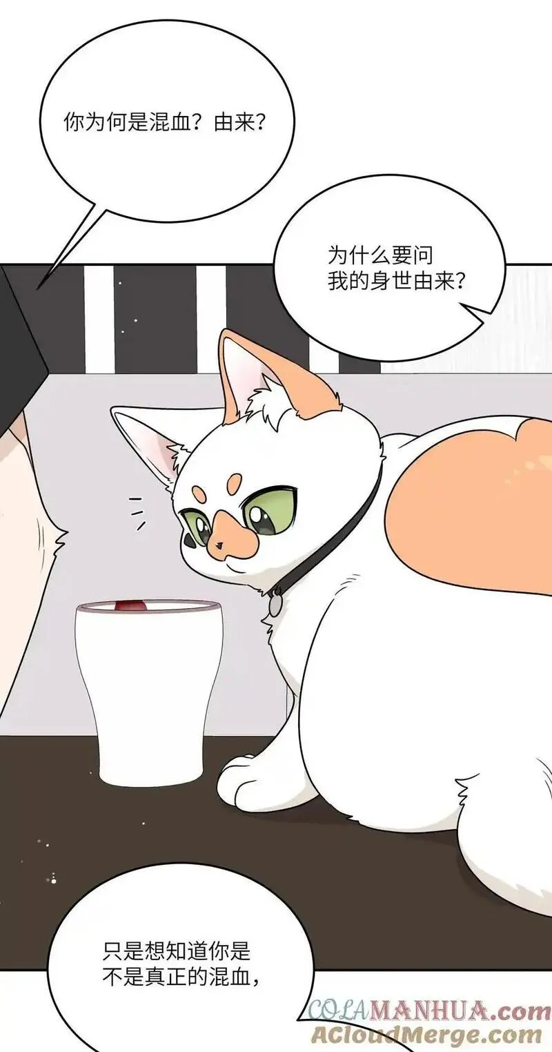 我的食物看起来很可爱漫画,164 觉醒的方法22图