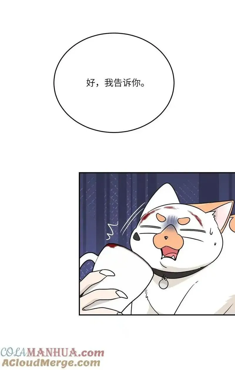 我的食物看起来很可爱漫画,164 觉醒的方法25图