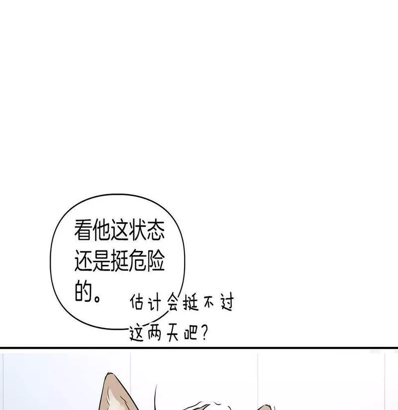 顶级猎物漫画,第3话 文字的破损113图