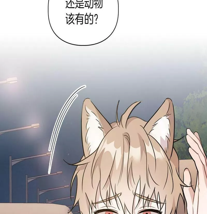 顶级猎物漫画,第4话 半兽人社会6图