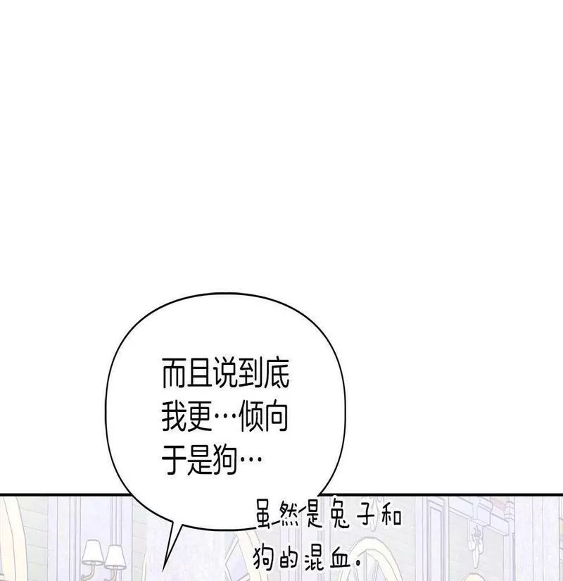 顶级猎物漫画,第5话 兔子和狗的混血90图