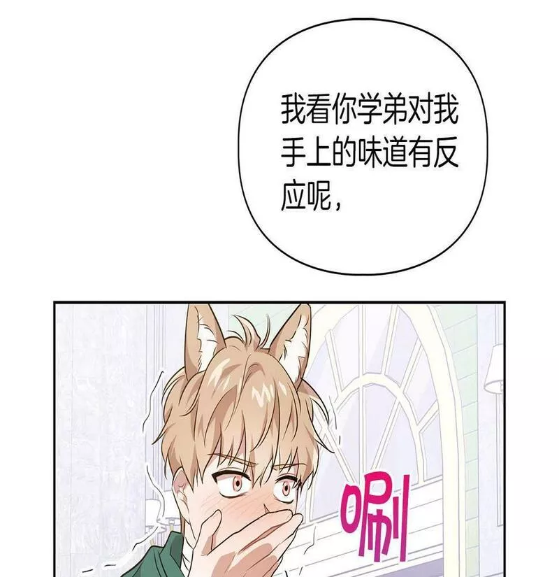 顶级猎物漫画,第5话 兔子和狗的混血131图