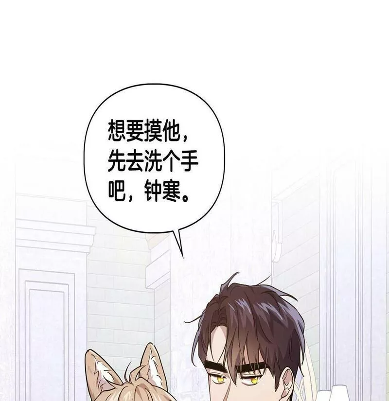 顶级猎物漫画,第5话 兔子和狗的混血102图