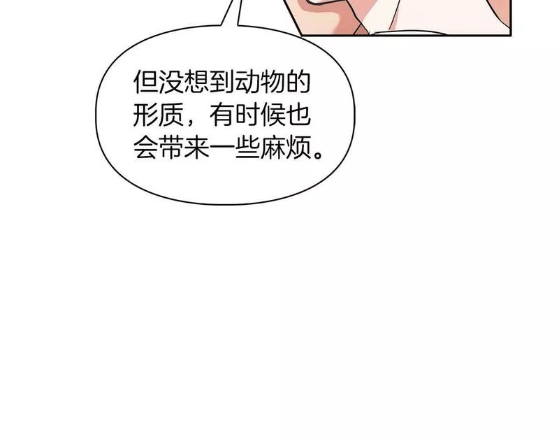 顶级猎物漫画,第36话 蹦跶跶的兔子23图