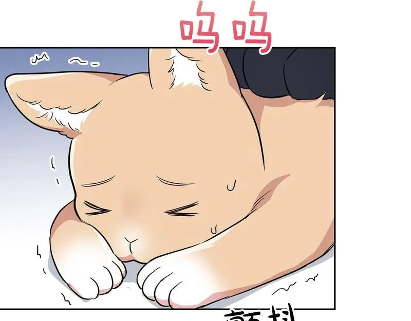 顶级猎物漫画,第57话 惩治委员会121图