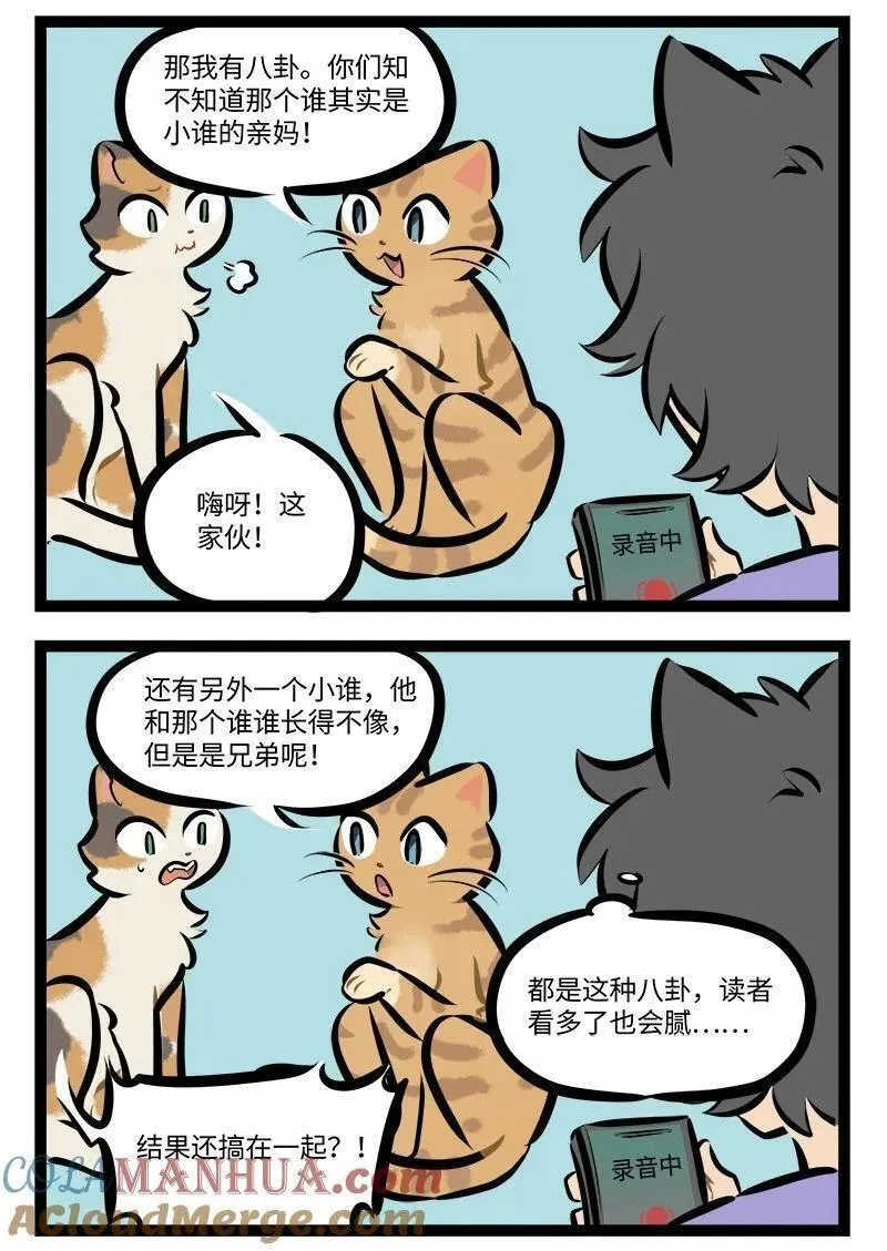 1031万圣街免费阅读下拉漫画,第766话 猫猫队2图