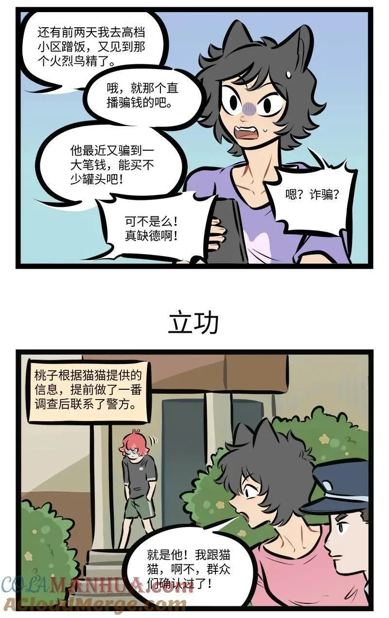 1031万圣街免费阅读下拉漫画,第766话 猫猫队3图