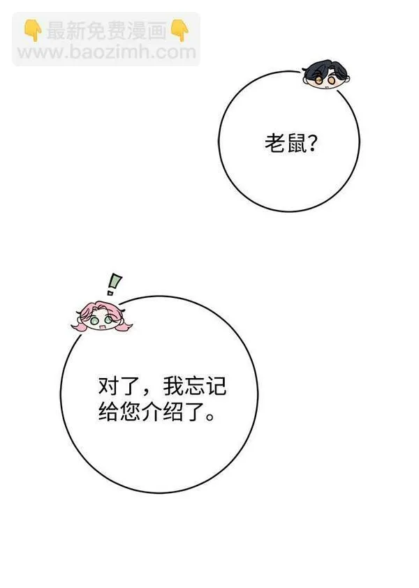 我的双修道侣小说最新章节漫画,第8话54图