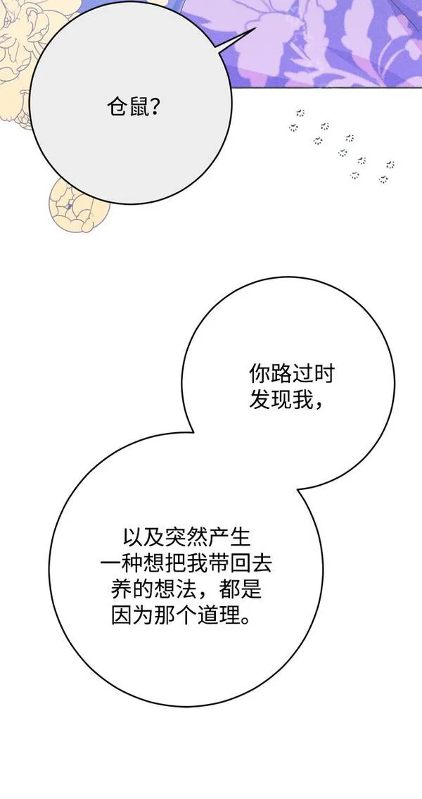 我的双修道侣小说最新章节漫画,第11话34图