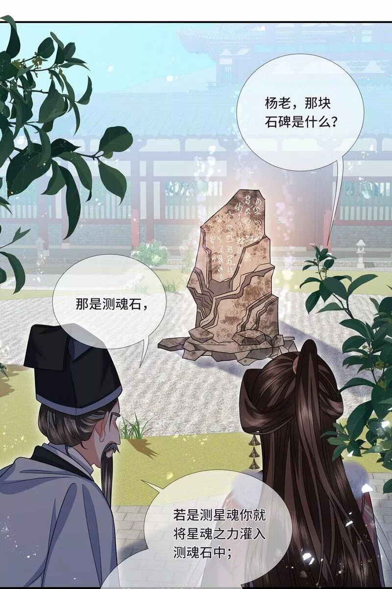 魔凰仙医:邪帝夫人又飒又冷小说无弹窗漫画,021 测魂石14图