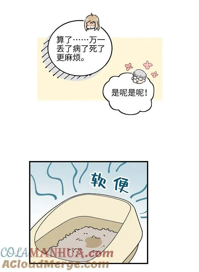 盐友漫画全集免费36话漫画,番外 裴心养猫记7图