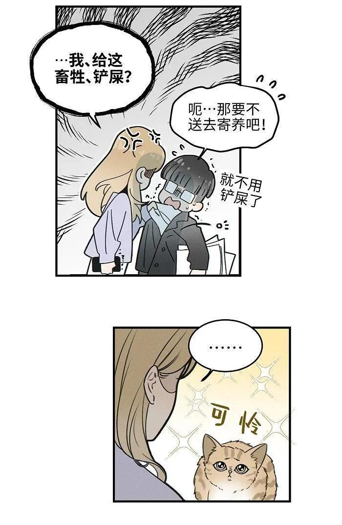 盐友漫画全集免费36话漫画,番外 裴心养猫记6图