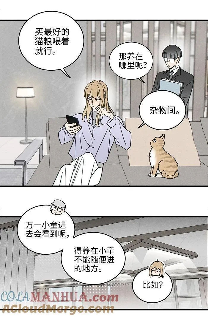 盐友漫画全集免费36话漫画,番外 裴心养猫记3图