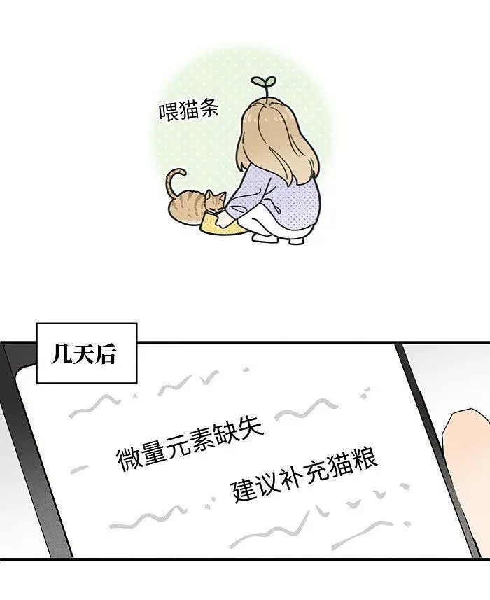 盐友漫画全集免费36话漫画,番外 裴心养猫记12图