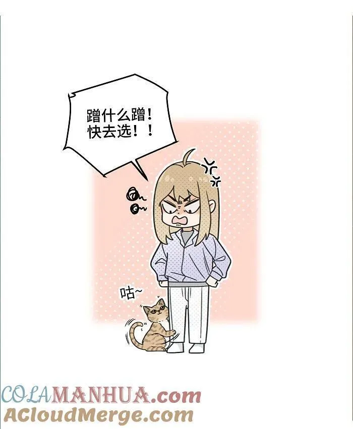 盐友漫画全集免费36话漫画,番外 裴心养猫记15图