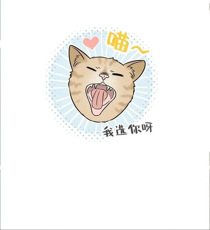 盐友漫画全集免费36话漫画,番外 裴心养猫记16图