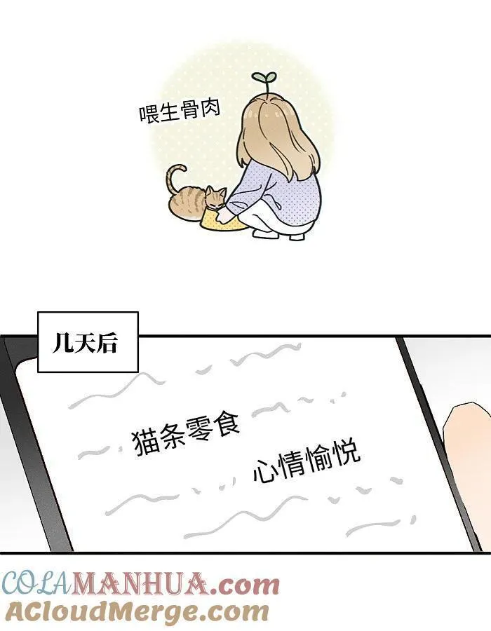 盐友漫画全集免费36话漫画,番外 裴心养猫记11图