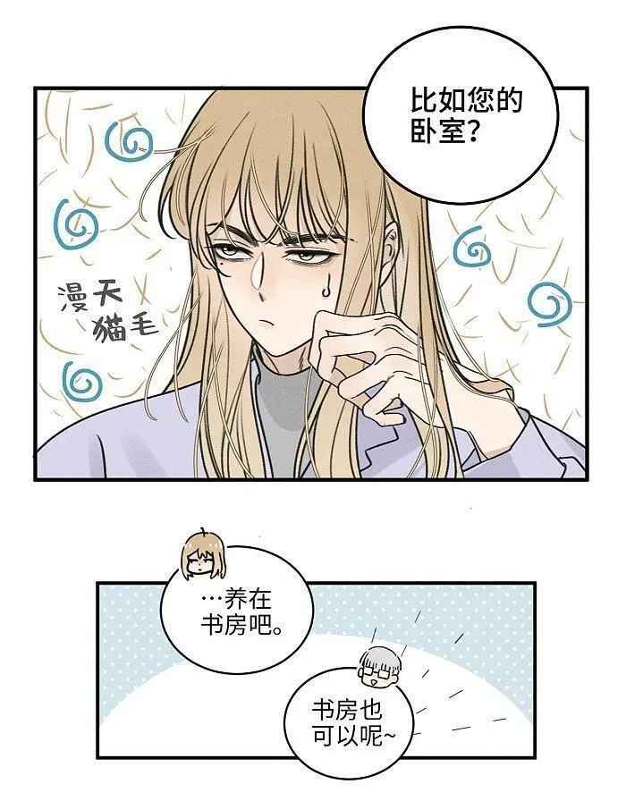 盐友漫画全集免费36话漫画,番外 裴心养猫记4图