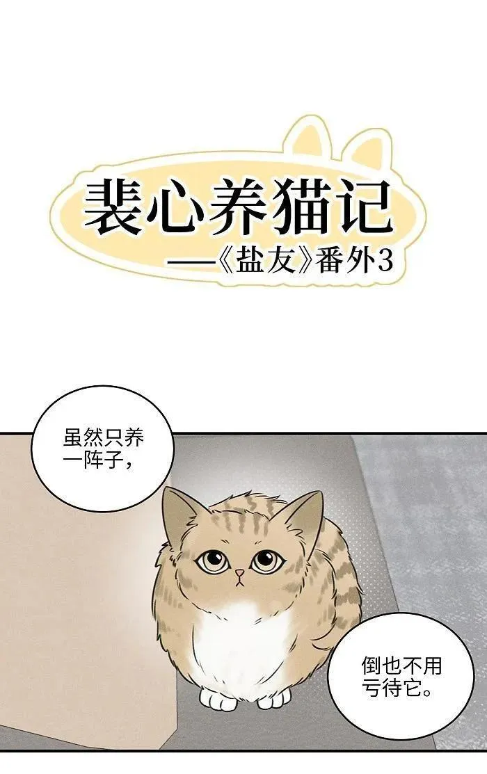 盐友漫画全集免费36话漫画,番外 裴心养猫记2图