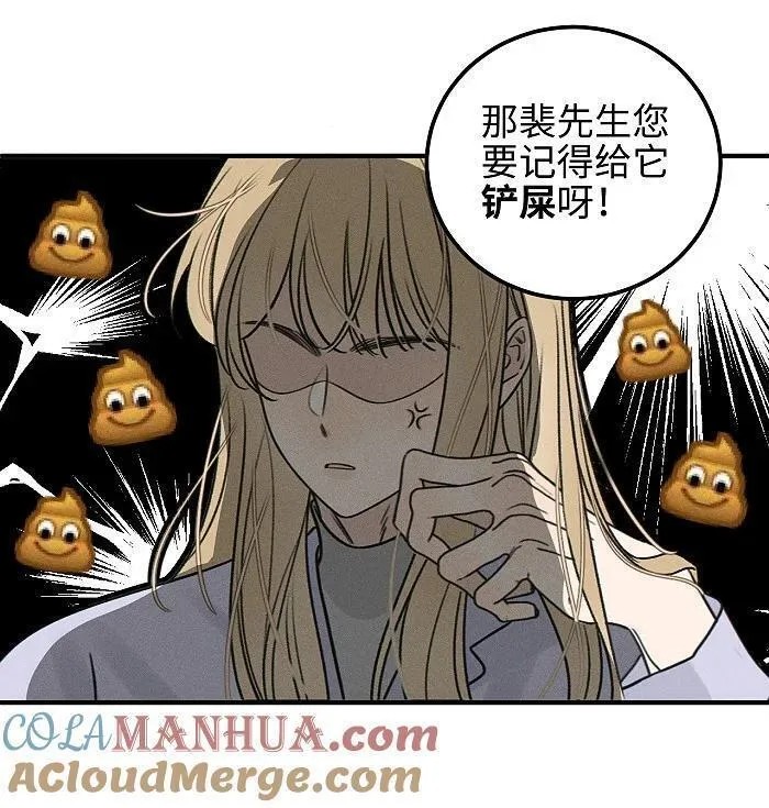 盐友漫画全集免费36话漫画,番外 裴心养猫记5图