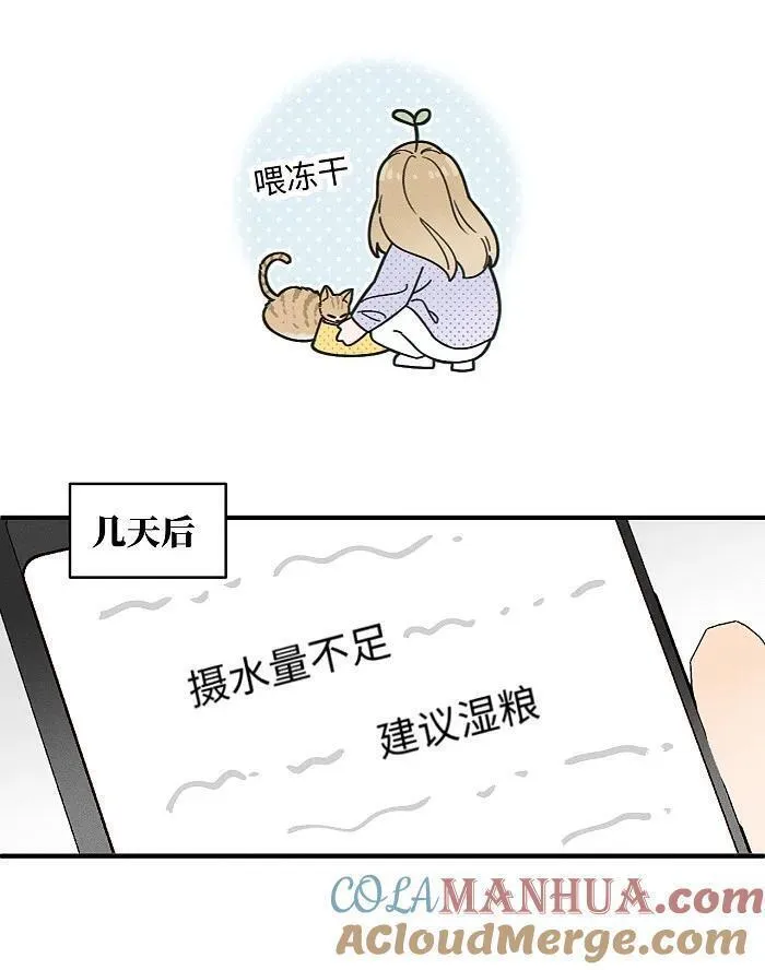 盐友漫画全集免费36话漫画,番外 裴心养猫记9图