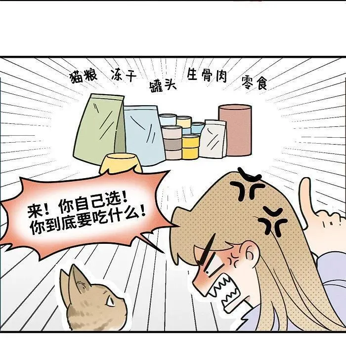 盐友漫画全集免费36话漫画,番外 裴心养猫记14图