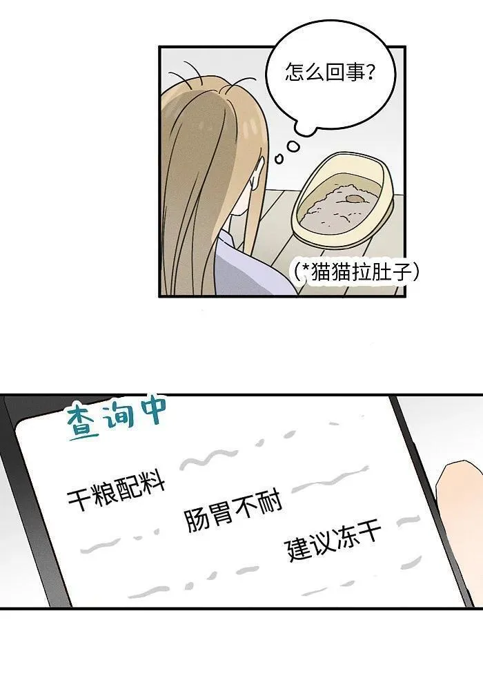 盐友漫画全集免费36话漫画,番外 裴心养猫记8图